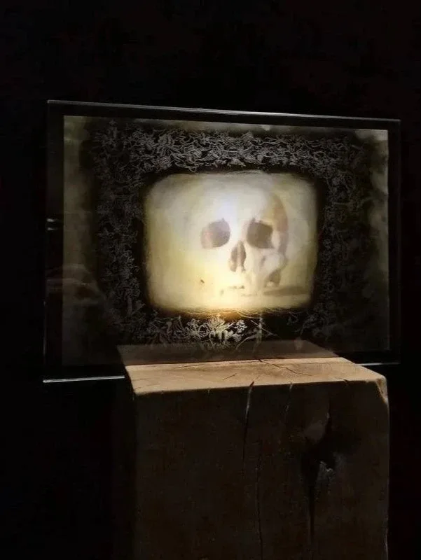Майские выставки со свободным входом. 1 часть  🤩 Тихая жизнь там, где время не спешит Живопись о кра