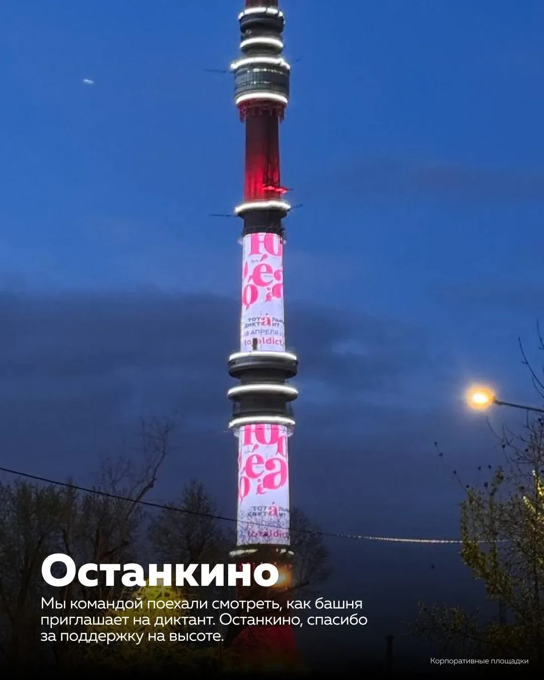 В мае вся команда Тотального диктанта чувствует себя так, будто пора разобрать елку: снять игрушки, 