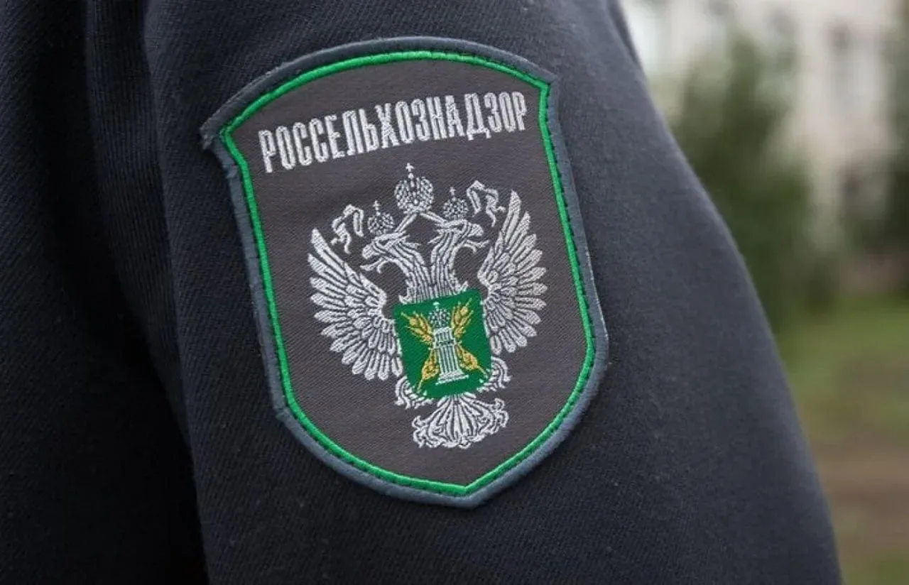 ⚡️Россельхознадзор вводит ограничения на ввоз цветов из Армении с 22 мая, — ведомство.