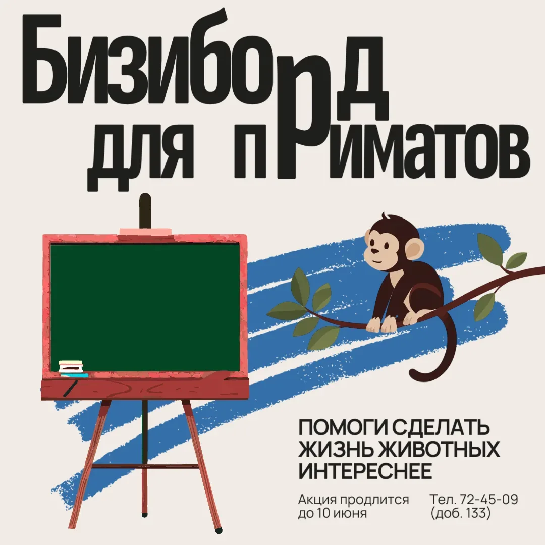 🦧 Бизиборд для приматов 🦍  Сахалинский зооботанический парк запускает акцию по сбору элементов для о