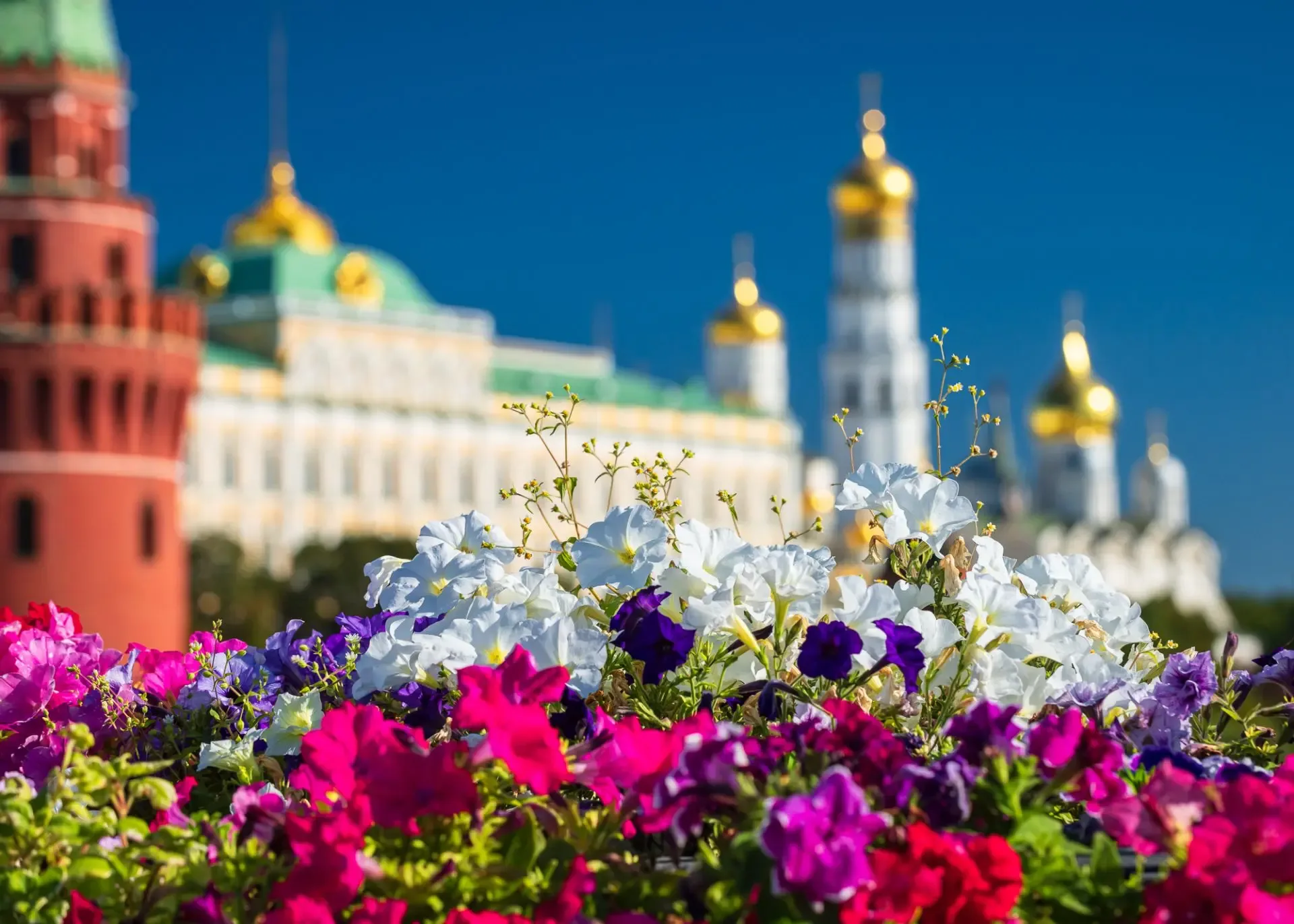 ❗️Яхонтовые наши, с пятницы, 15 мая, Музеи Московского Кремля переходят на летний режим работы!  Ору