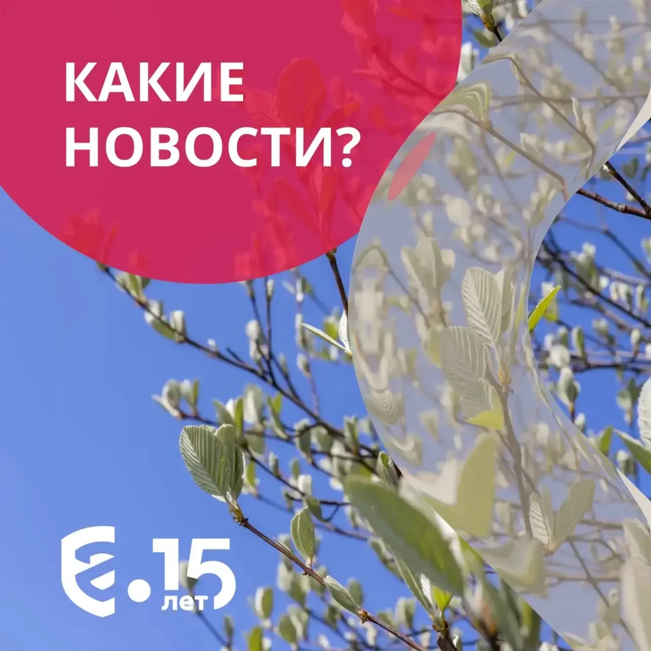 📰 Какие новости?  🔸 Число индивидуальных предпринимателей приблизилось к 5 миллионам По сравнению с 