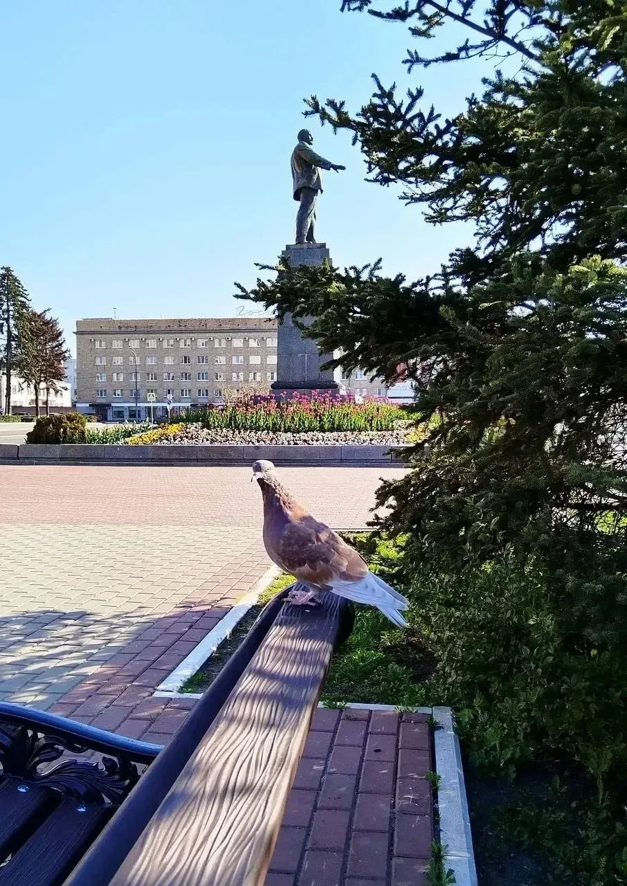 И снова понедельник!Легкости, душевного спокойствия, яркого настроения и уверенности во всем!  С доб