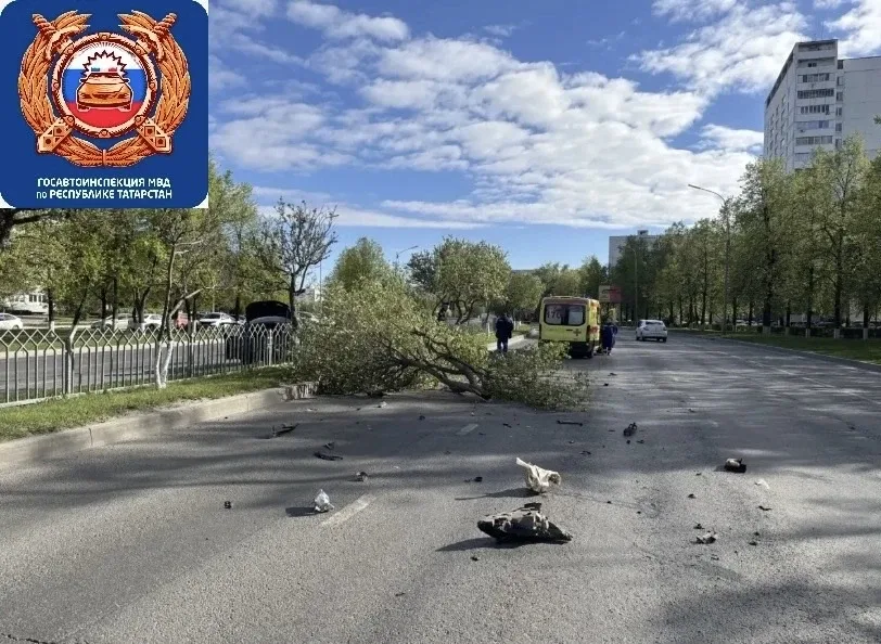 ❗19-летний челнинец снес деревья на ровном месте   ДТП произошло на проспекте Мира, недалеко от дома