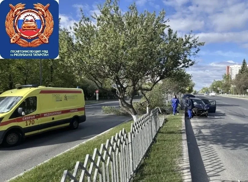 ❗19-летний челнинец снес деревья на ровном месте   ДТП произошло на проспекте Мира, недалеко от дома