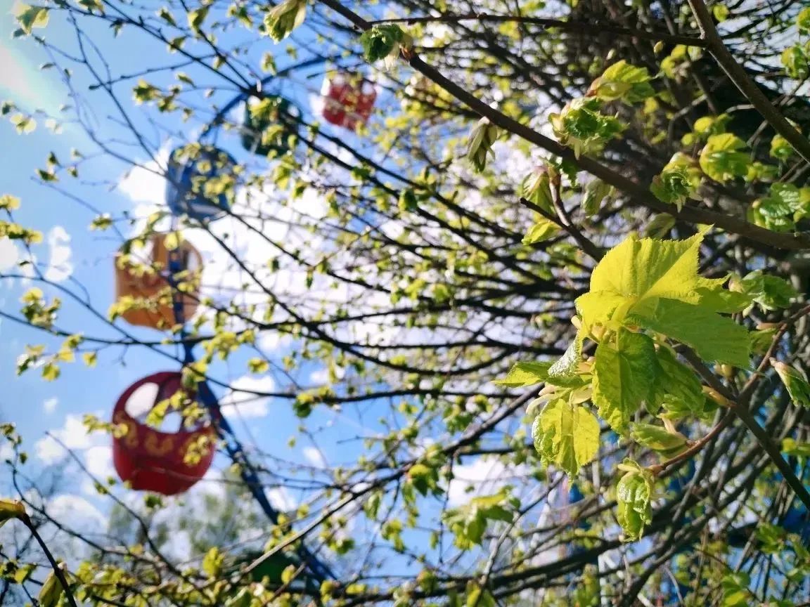 Доброе утро!   🌿 Подольск зеленее и ярче с каждым днём. Сегодня в городе до +22, не исключено, что н