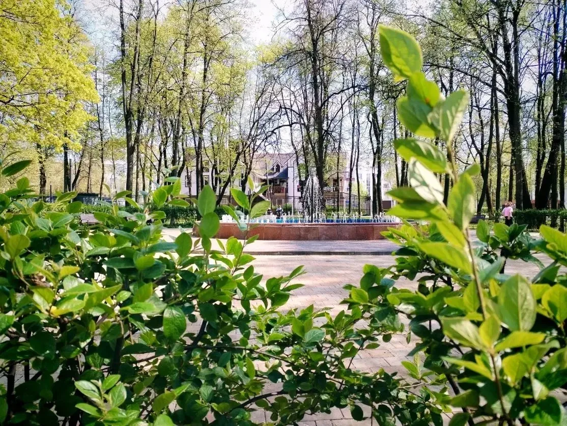 Доброе утро!   🌿 Подольск зеленее и ярче с каждым днём. Сегодня в городе до +22, не исключено, что н