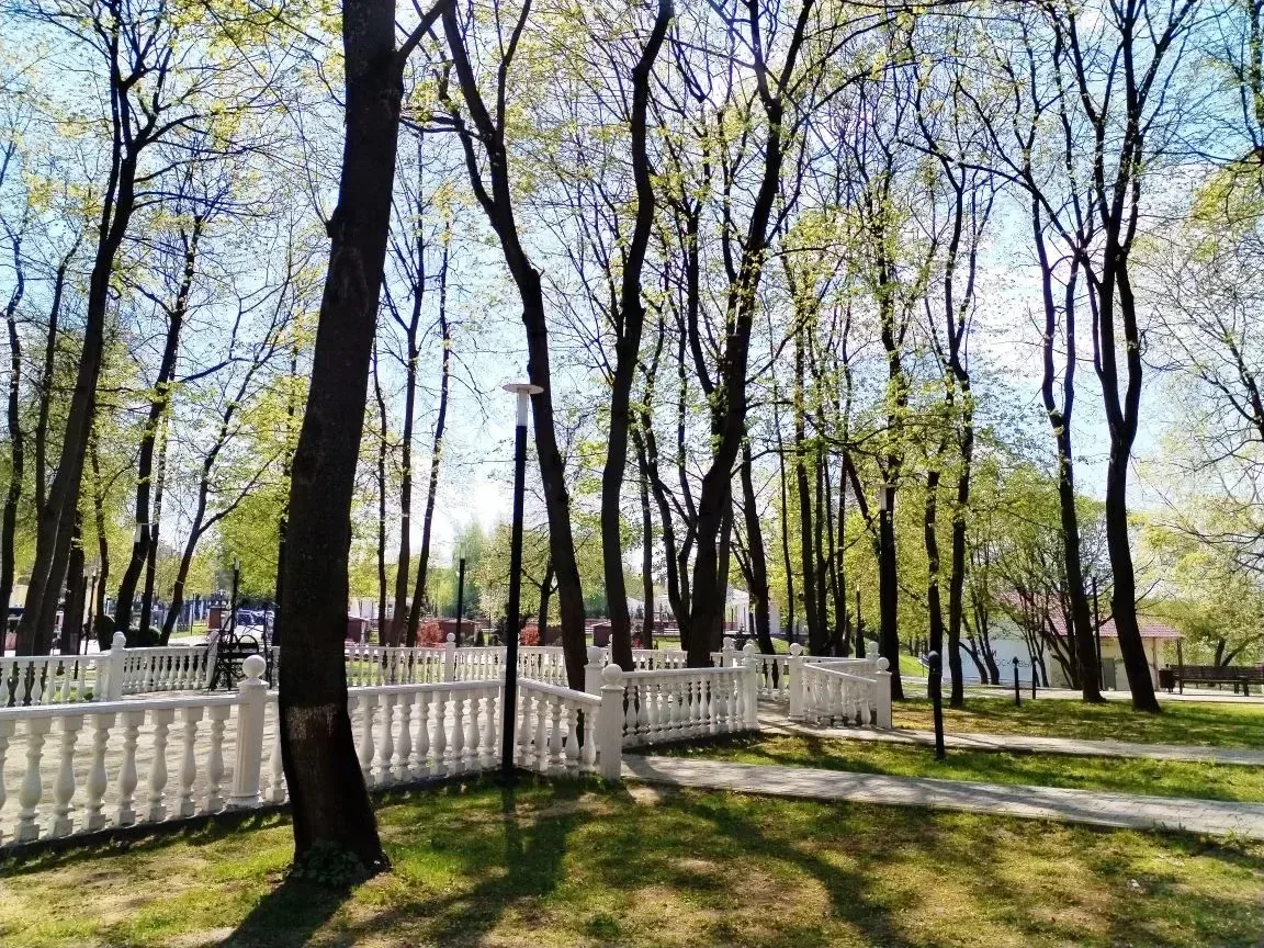 Доброе утро!   🌿 Подольск зеленее и ярче с каждым днём. Сегодня в городе до +22, не исключено, что н