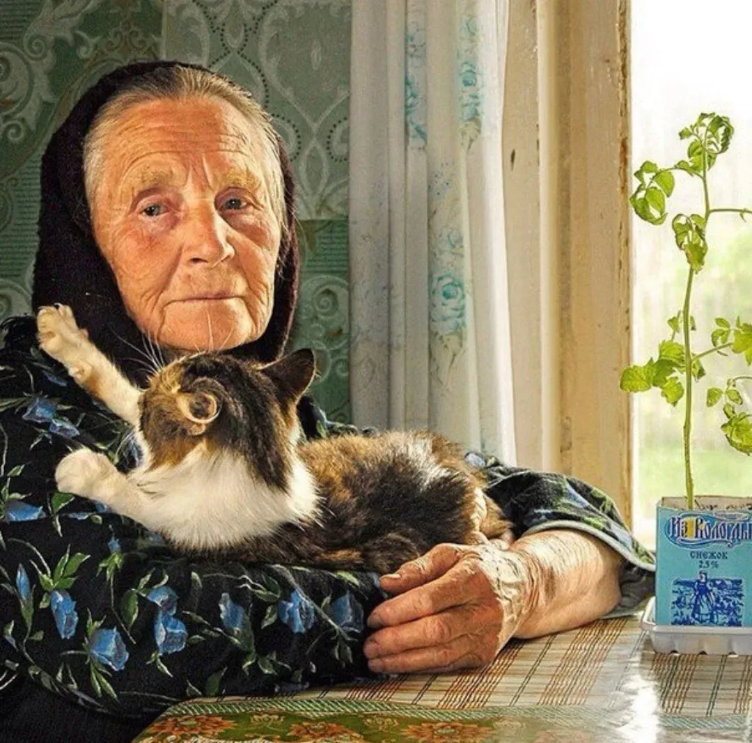 Не ругайте маму никогда! Если Мама в чём-то не права, Кажется, не то она сказала, Вы молитесь, что о