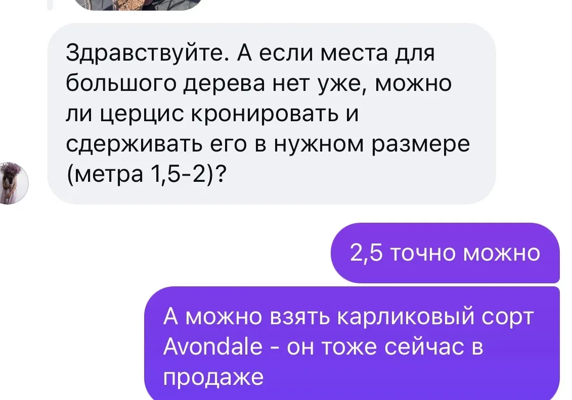 Розовое облако цветения - это еще и цветение церциса! ⠀ ✅ЦЕРЦИС - потрясающе устойчивое дерево. Крон