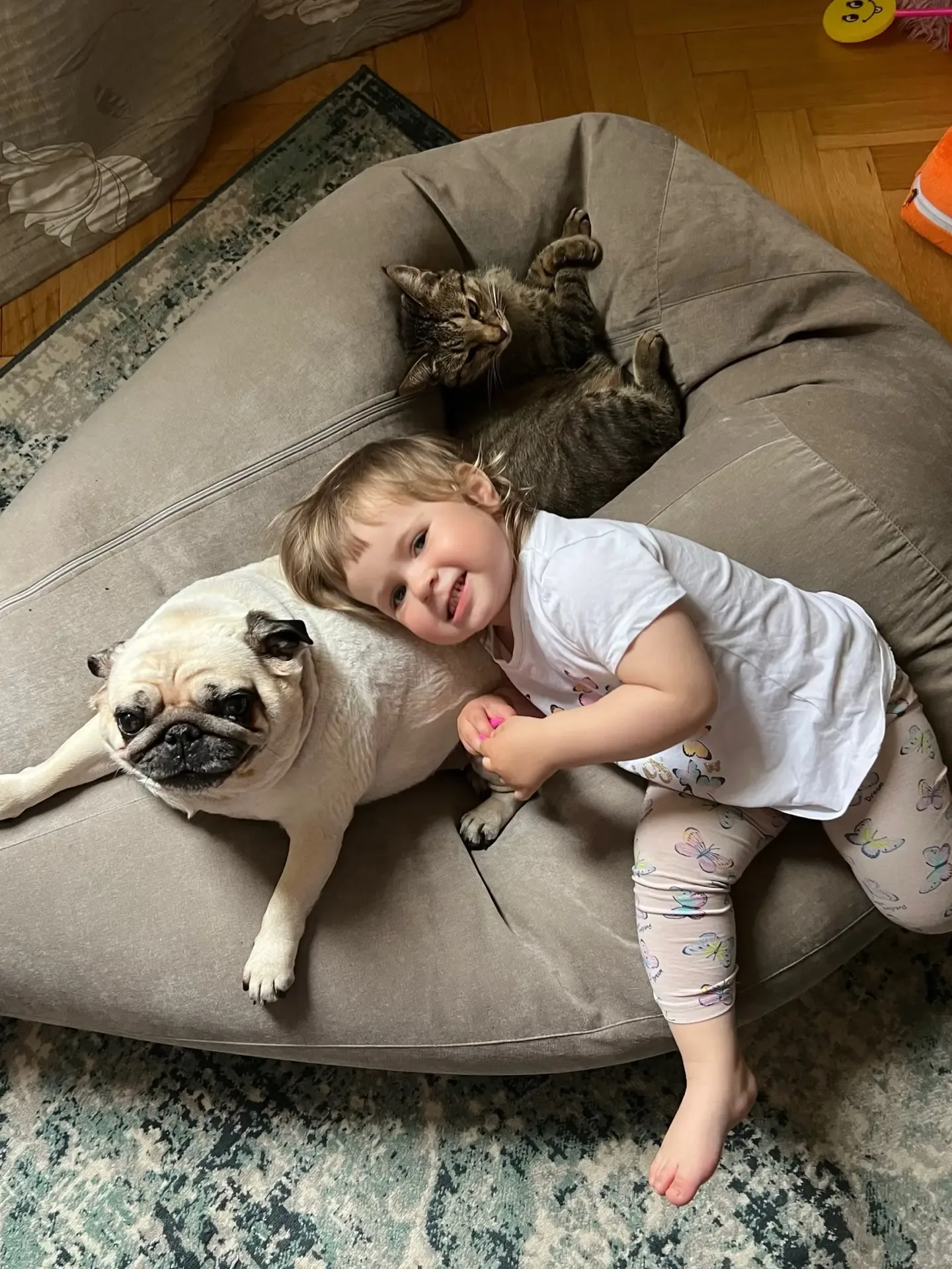 Мои дети растут с животными🐈🐕  У нас дома живет мопс Эмми, ей почти 10 лет. А еще кот Сиджей, ему ск