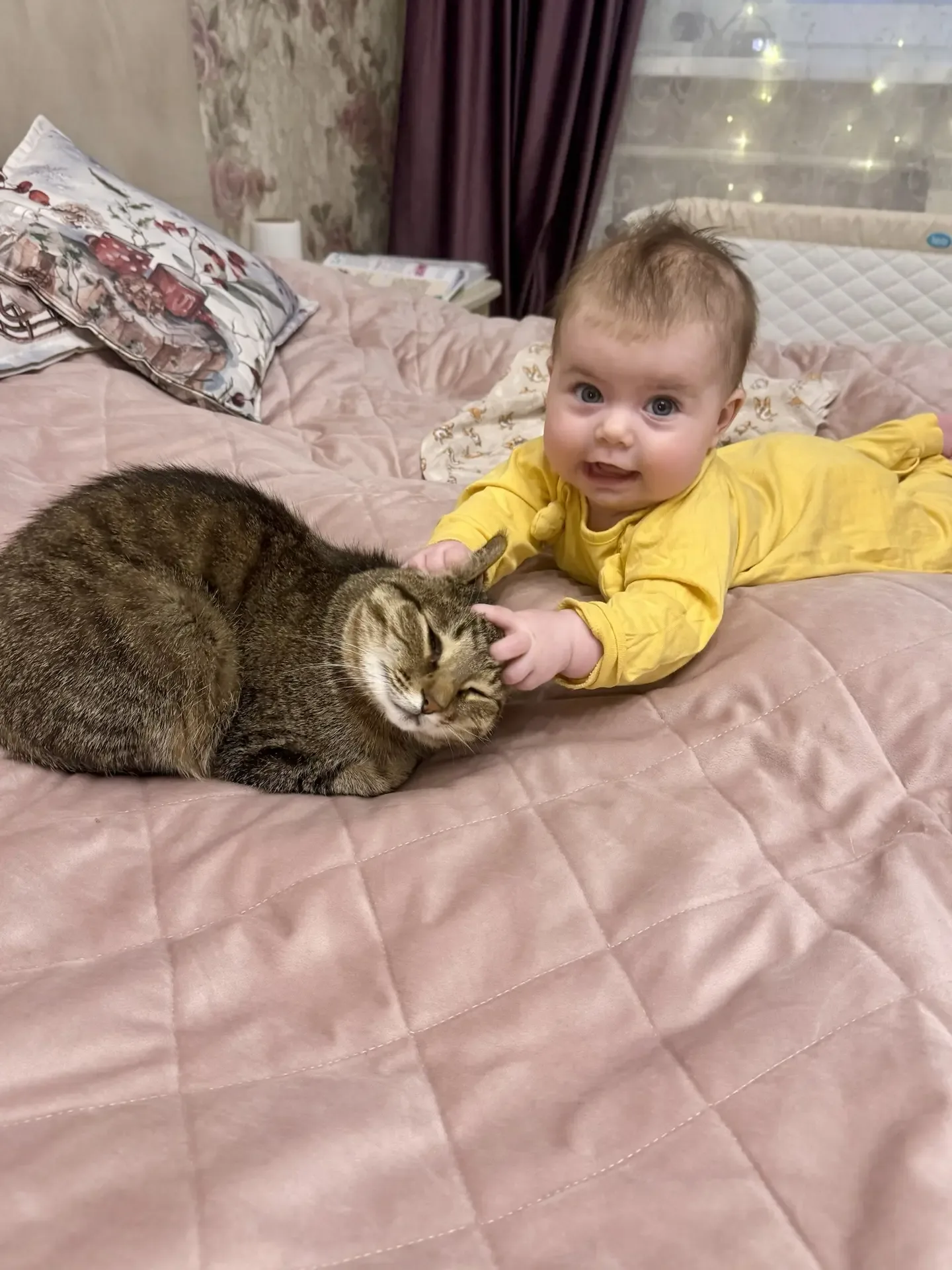 Мои дети растут с животными🐈🐕  У нас дома живет мопс Эмми, ей почти 10 лет. А еще кот Сиджей, ему ск