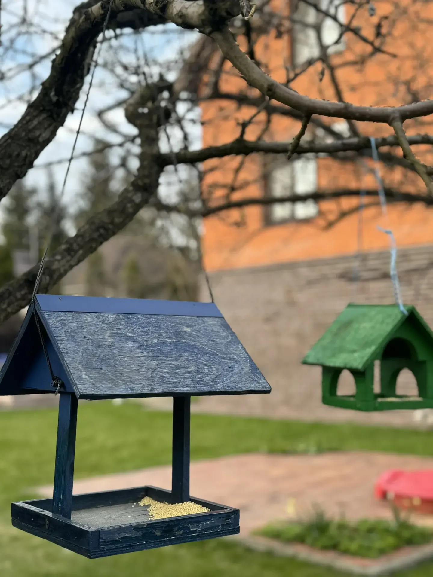 Немного нашей дачной атмосферы🏡  Майские идут по плану👌