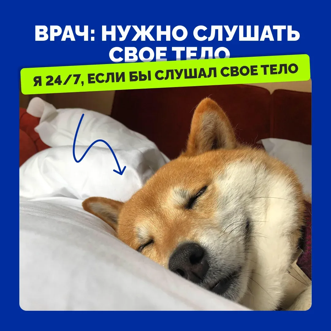Сон – самый бюджетный вид отдыха 😉