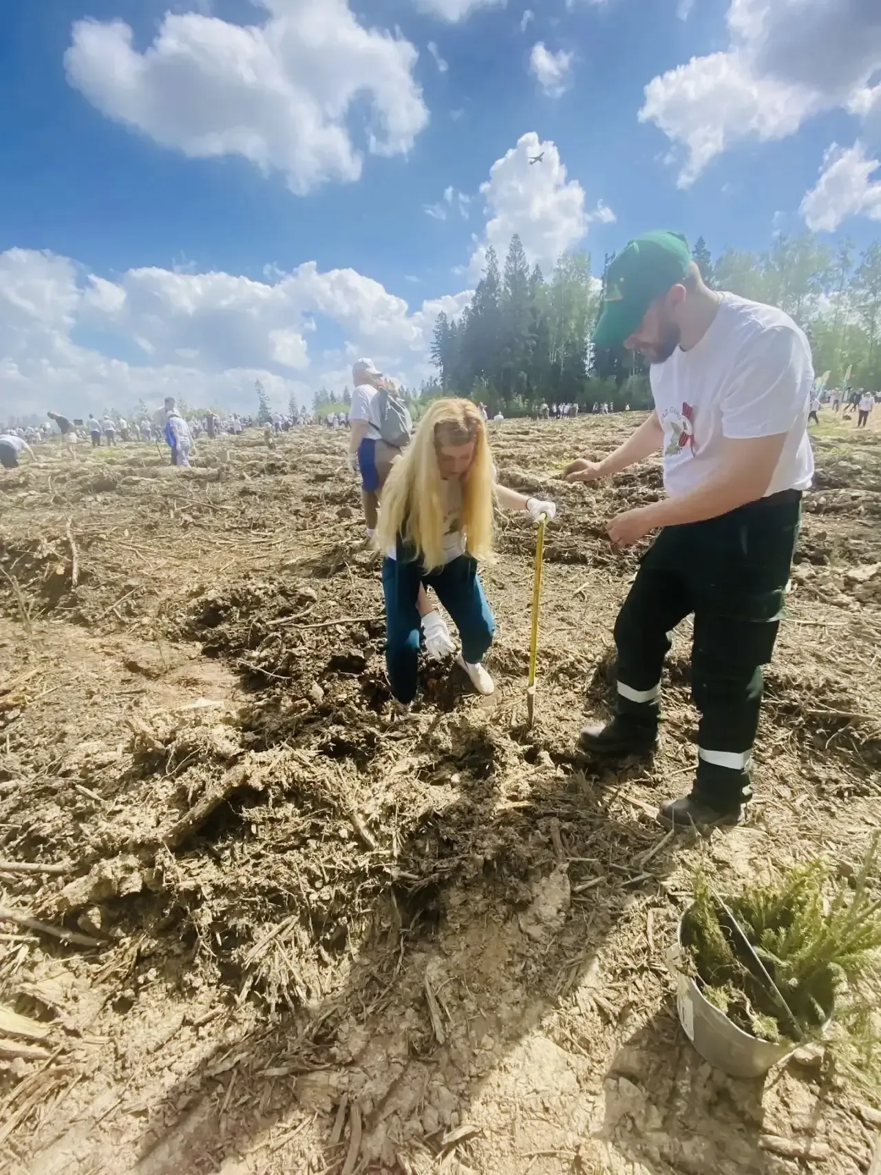 🌳 Сегодня, в рамках Международной акции «Сад памяти», на центральной областной площадке в городском 