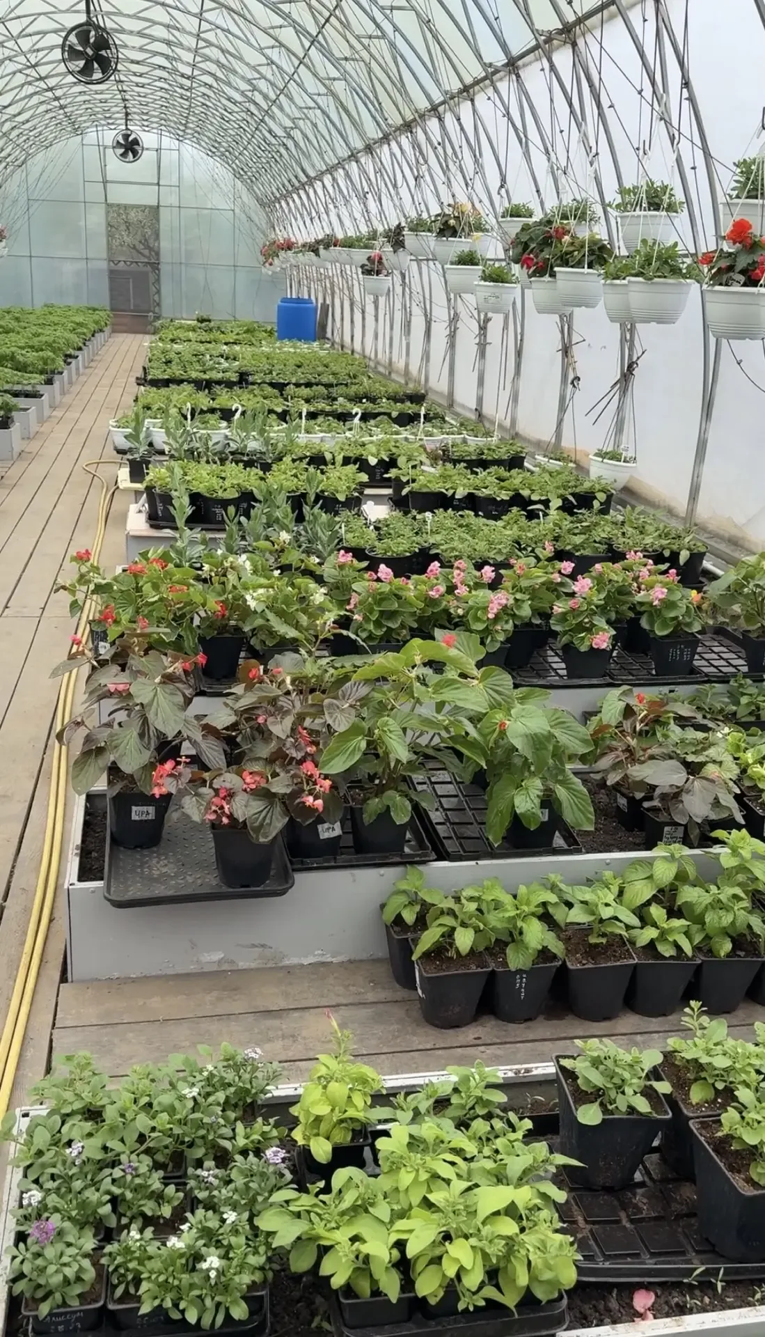 🍅🌱 ИДЕАЛЬНЫЙ СТАРТ СЕЗОНА! Друзья, на нашу демонстрационную площадку уже привезли рассаду для теплиц