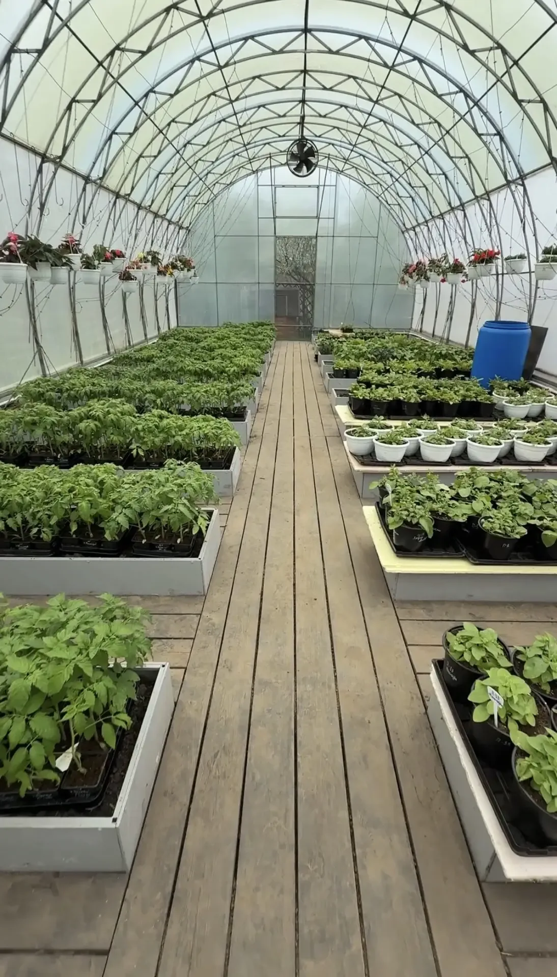 🍅🌱 ИДЕАЛЬНЫЙ СТАРТ СЕЗОНА! Друзья, на нашу демонстрационную площадку уже привезли рассаду для теплиц