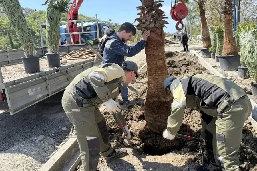 Сад памяти в Сочи: 250 деревьев в честь Победы 🌳🇷🇺  🎯 В Сочи стартовала акция по созданию Сада памят