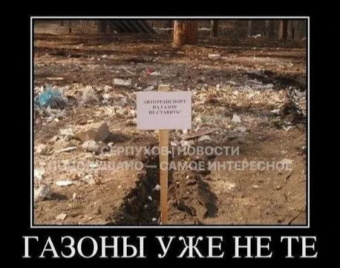 Газон не вырос, а деньги ушли: подрядчик вернёт бюджету почти 68 тысяч рублей  Арбитражный суд Моско