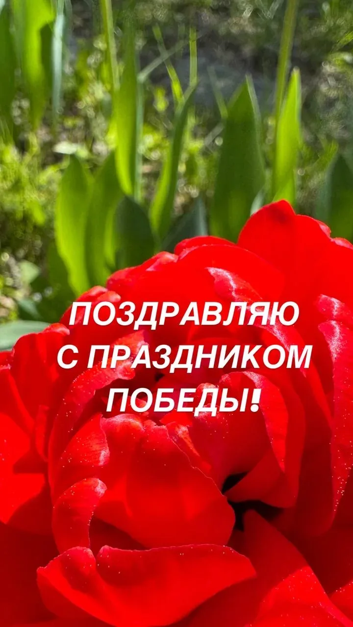 С праздником  Великой Победы, друзья!  Каждую семью в нашей стране затронула Великая Отечественная В