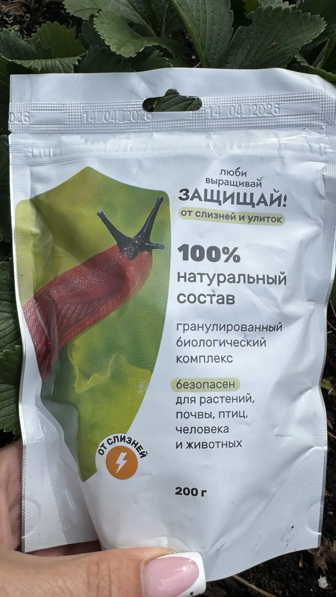 Мои 126 хост скажут слизням НЕТ!   И огород тоже скажет!   ❗️Симпатичные белые гранулы - это не пест