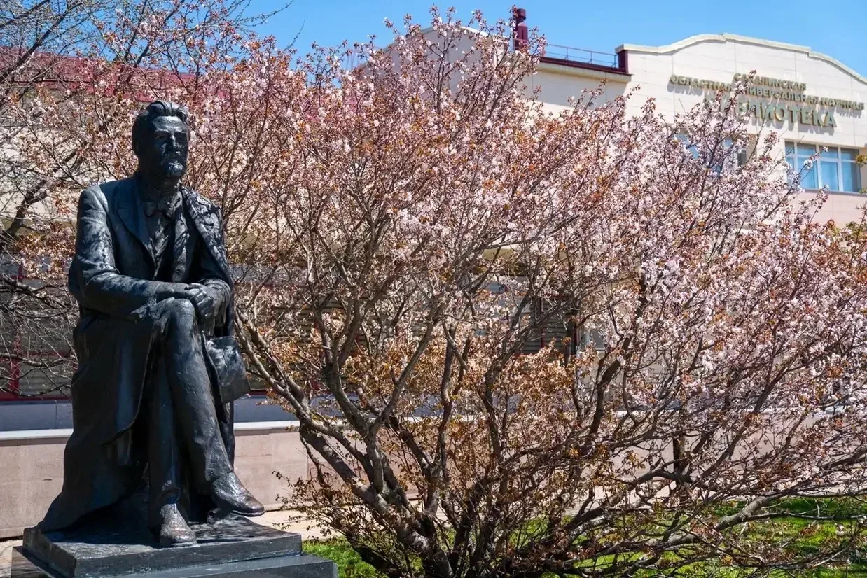 На территории Краеведческого музея и Областной библиотеки зацвела сакура 😍  Каждую весну японская ви