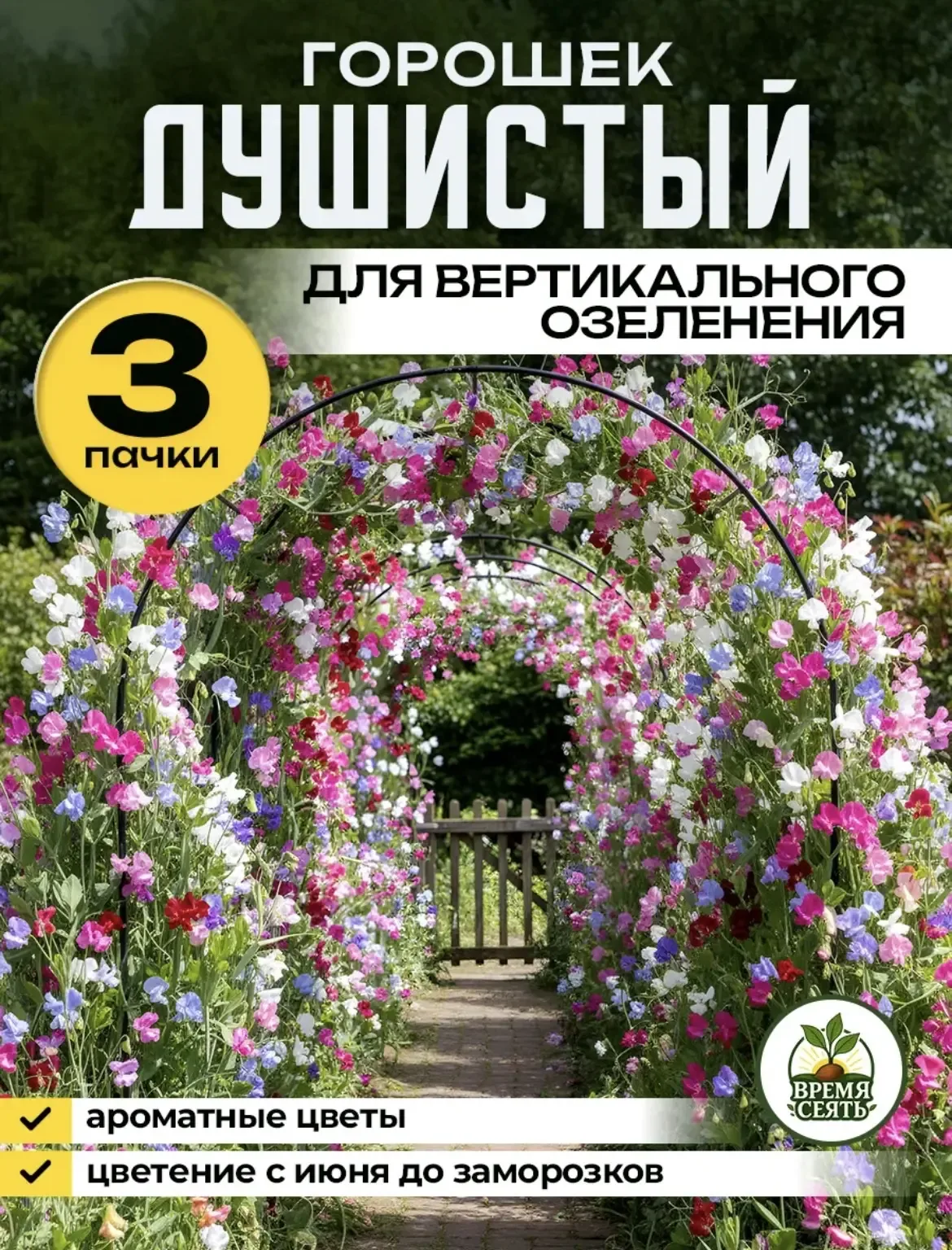 Душистый горошек 😍 Значит так девочки 😁 я возьму разных, посадим и посмотрим что вырастит, очень инт