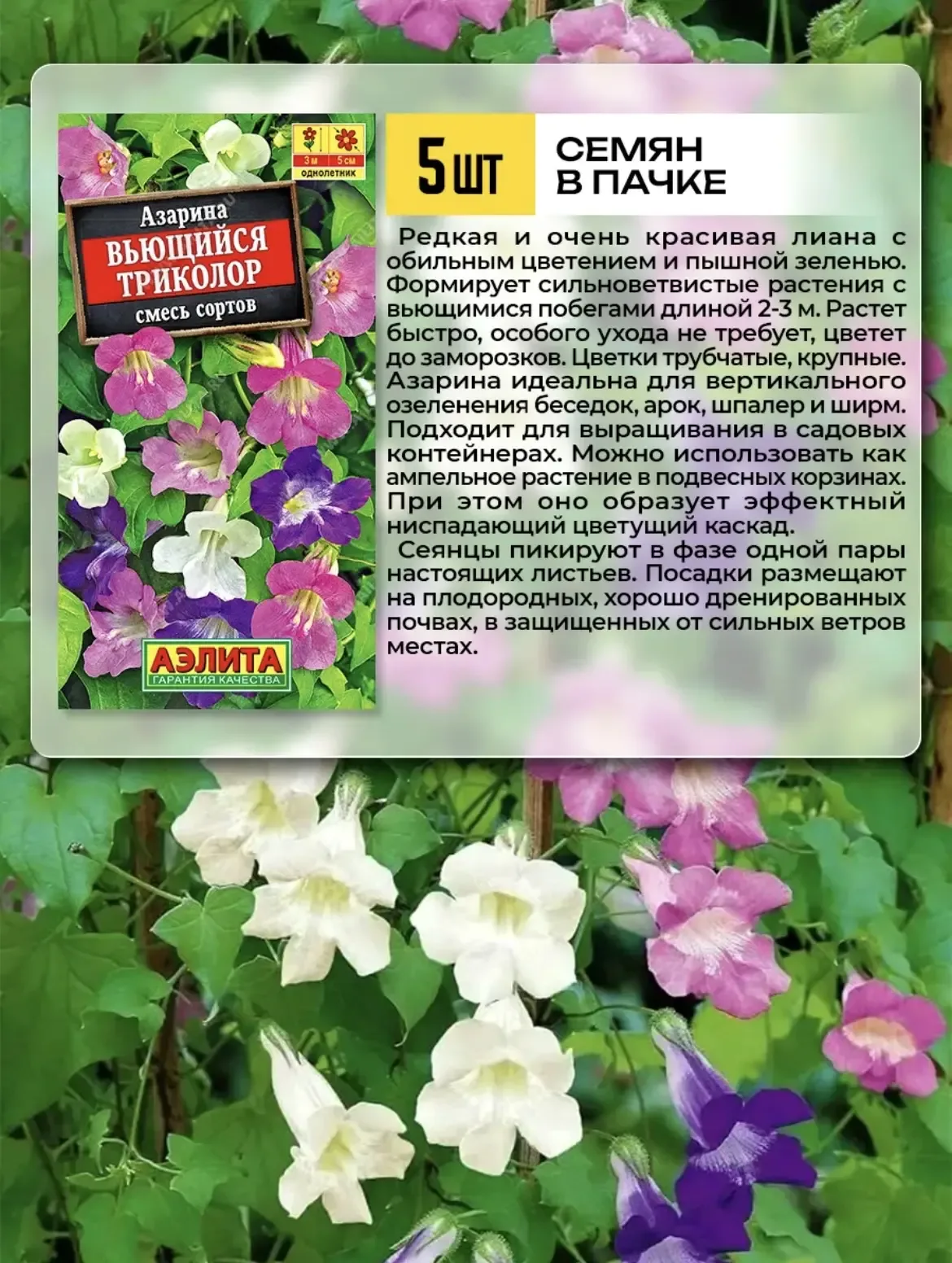 Душистый горошек 😍 Значит так девочки 😁 я возьму разных, посадим и посмотрим что вырастит, очень инт
