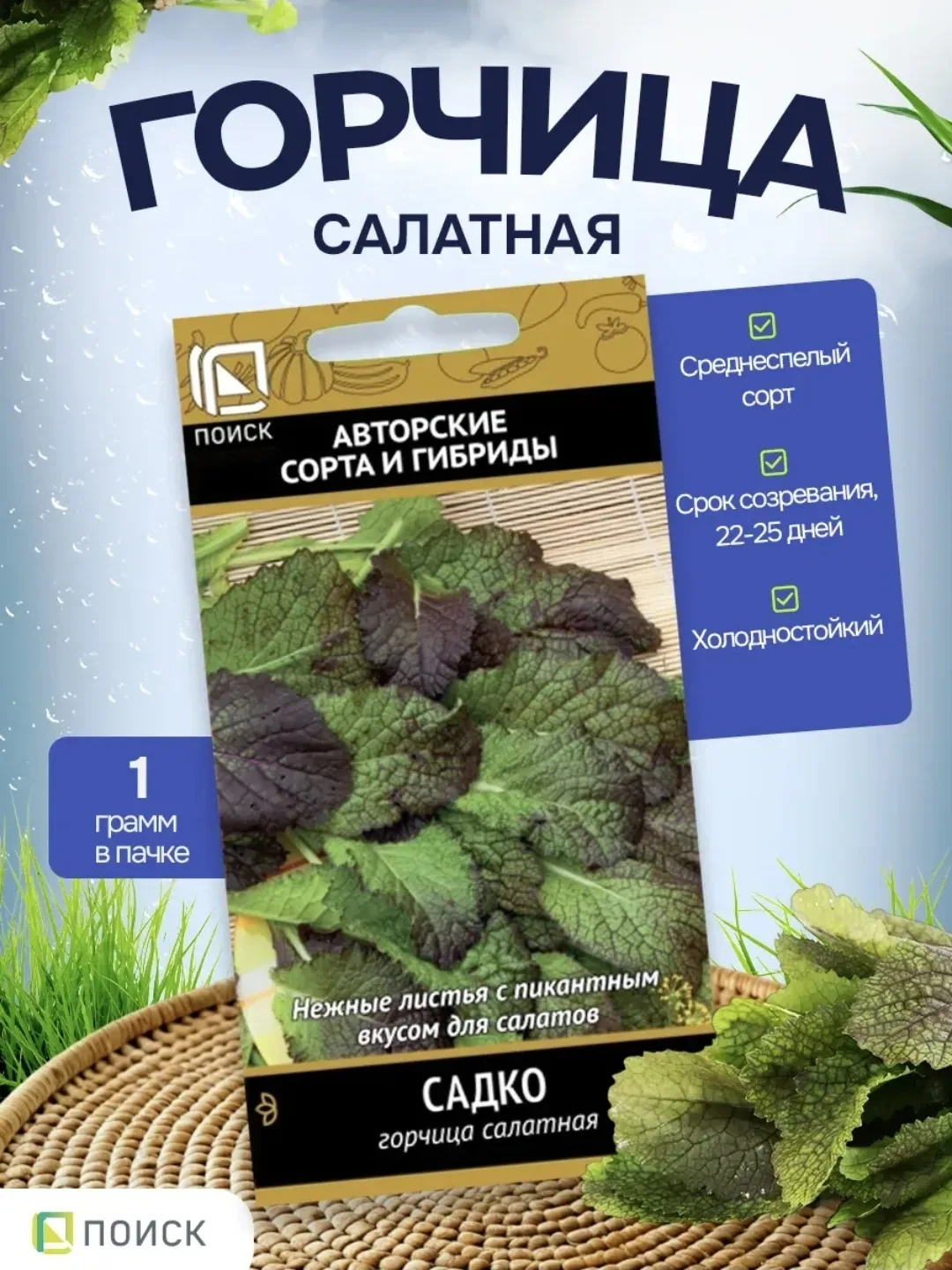 Посеяла зелень 🌱 Укроп Алигатор  Петрушка Итальянский гигант  Редиска Мечта Алисы ( можно сеять все 