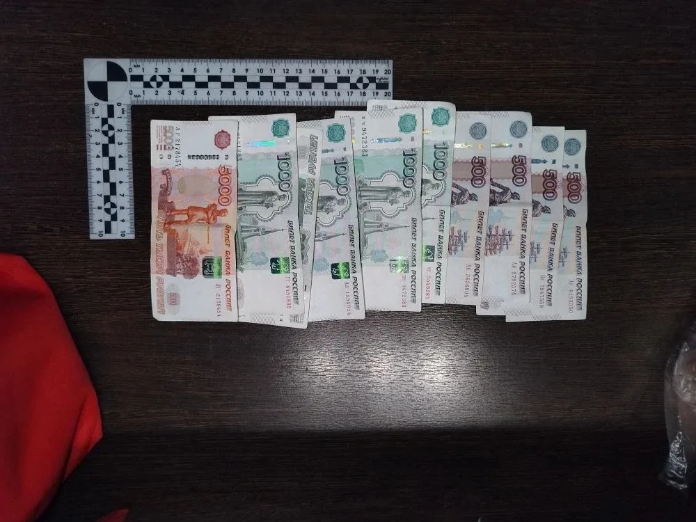 ⚠️ В Кузнецке накрыли подпольное казино  Сотрудники полиции получили оперативную информацию о работе