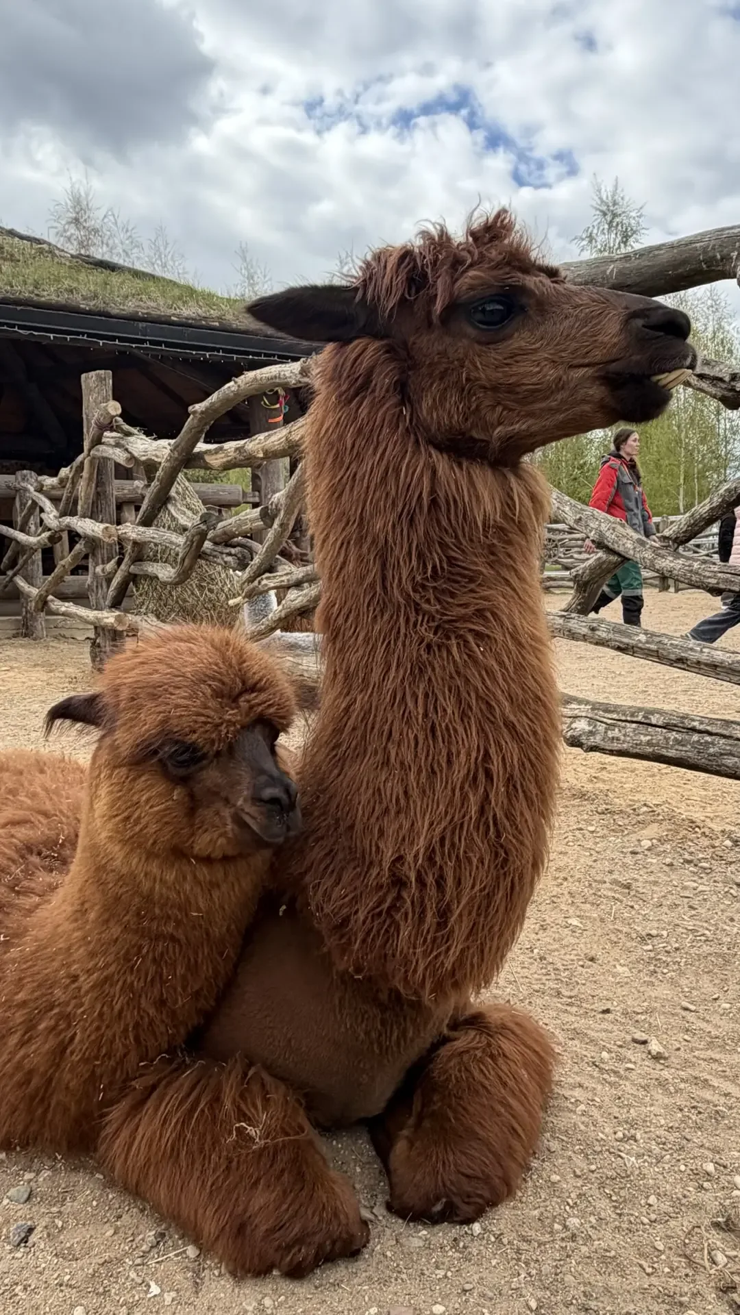 Майские праздники завершились😊 надеюсь, вы успели немного выдохнуть.  У меня эти дни получились насы
