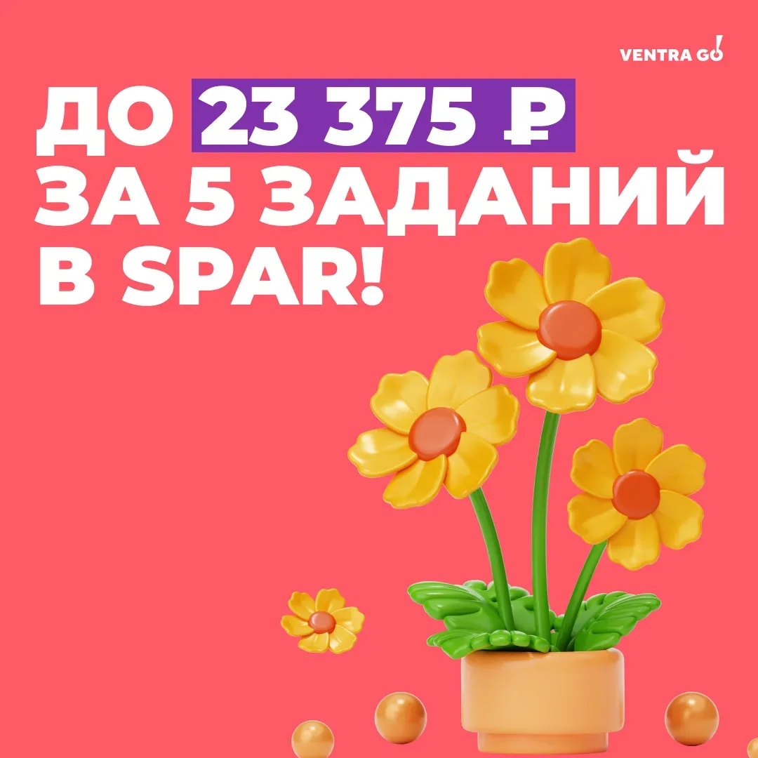 Это не шутка! SPAR повышает оплаты в Москве и Санкт-Петербурге 💰   🔥 Берите задания прямо сейчас и п