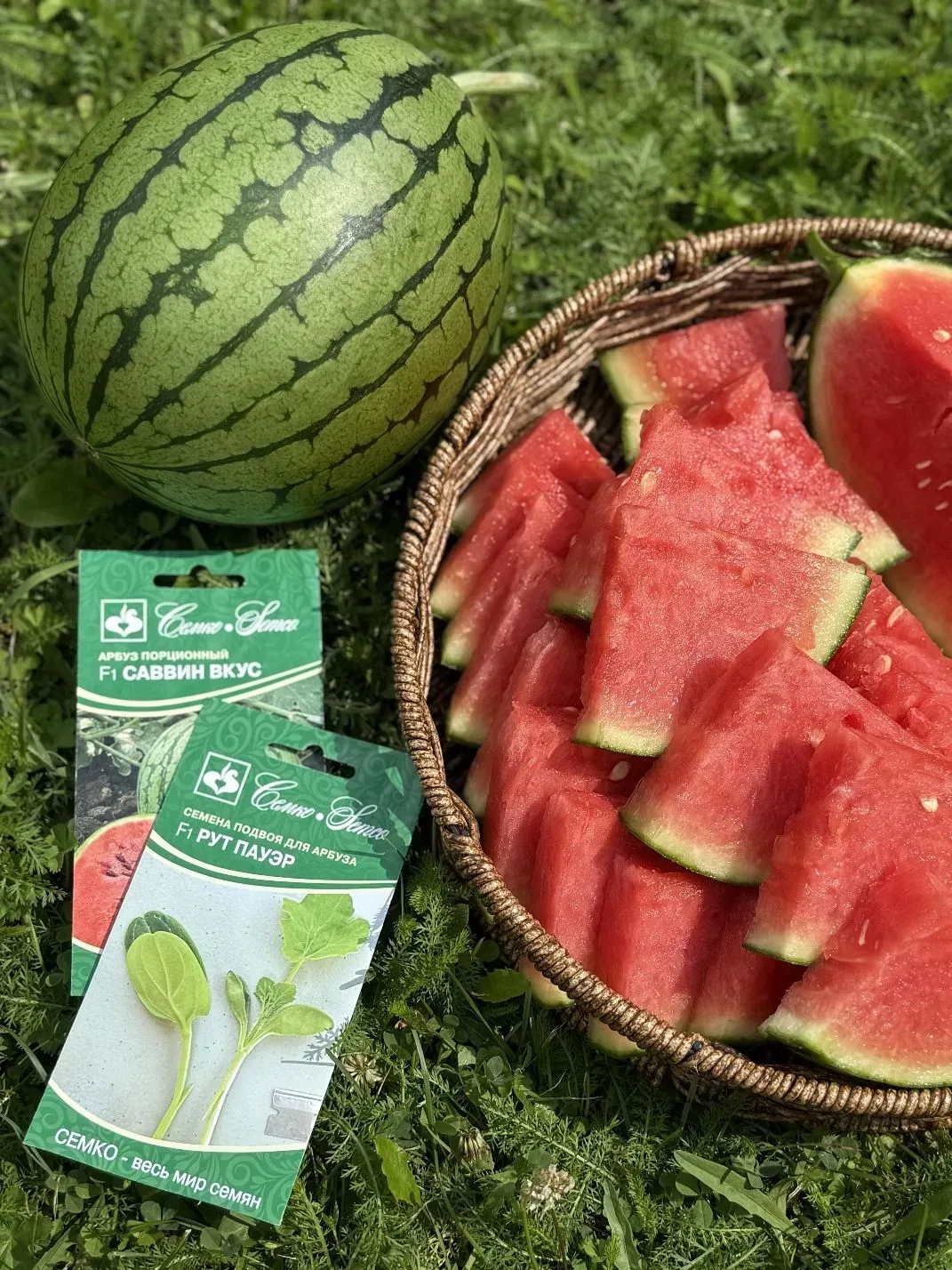 🍉 Саввин Вкус F1 + Рут Пауэр F1 — сладкая парочка для вашего рекордного урожая!🌱  Вы когда-нибудь пр
