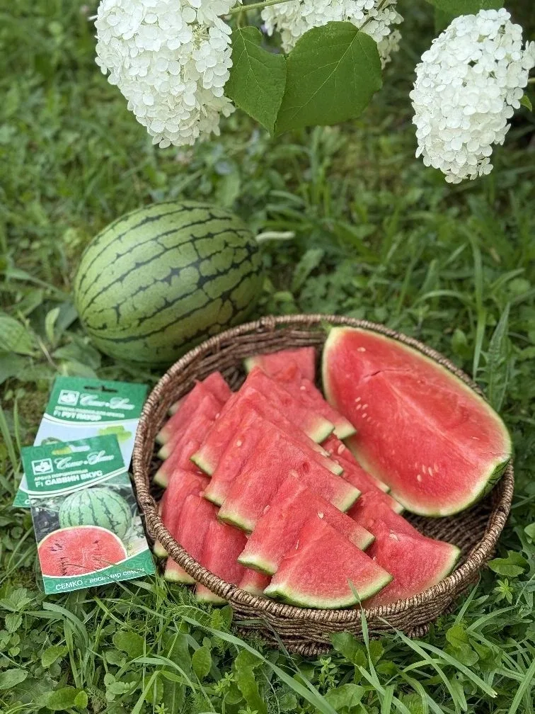 🍉 Саввин Вкус F1 + Рут Пауэр F1 — сладкая парочка для вашего рекордного урожая!🌱  Вы когда-нибудь пр