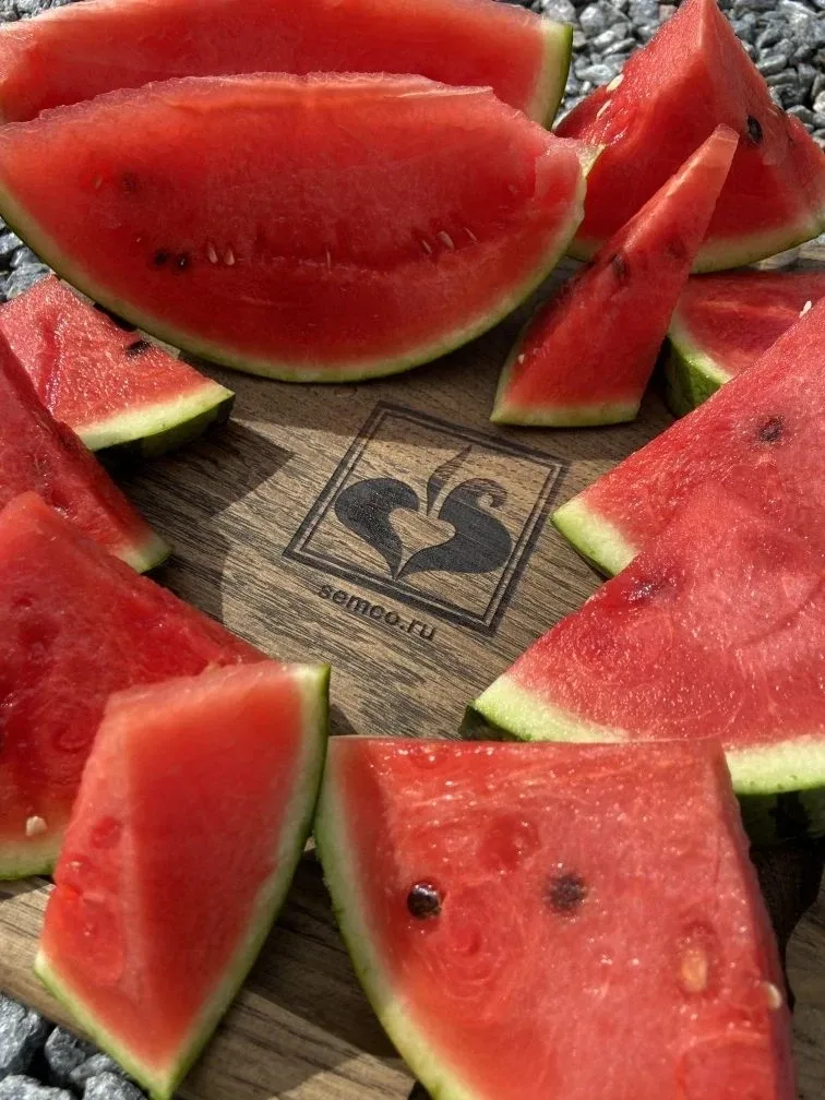 🍉 Саввин Вкус F1 + Рут Пауэр F1 — сладкая парочка для вашего рекордного урожая!🌱  Вы когда-нибудь пр