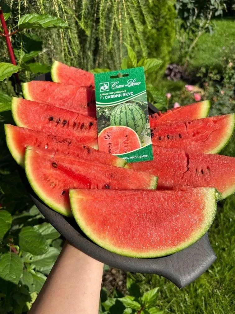 🍉 Саввин Вкус F1 + Рут Пауэр F1 — сладкая парочка для вашего рекордного урожая!🌱  Вы когда-нибудь пр