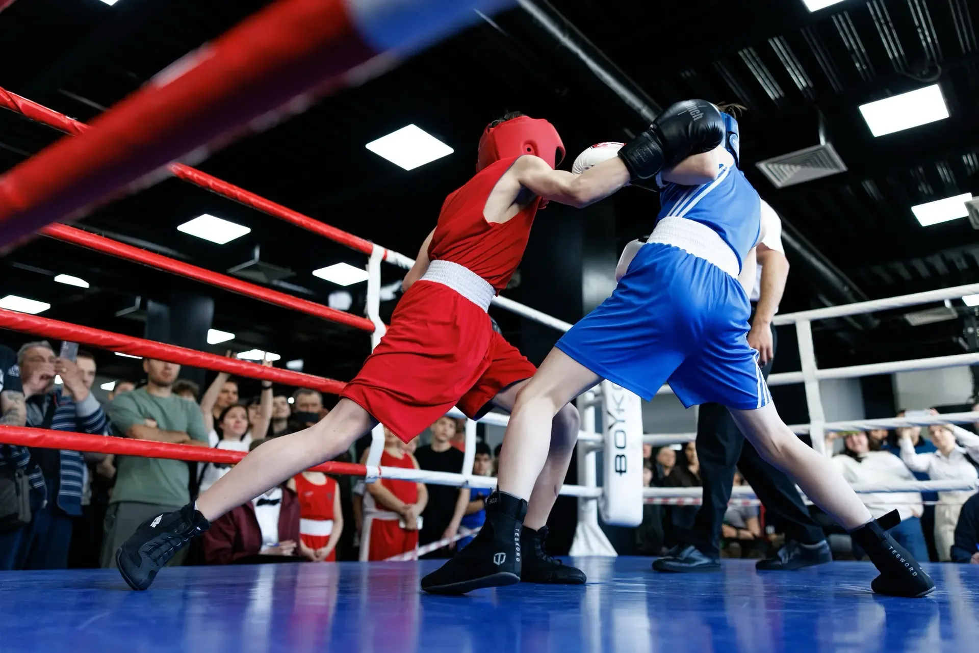 Сетевой турнир по боксу среди детей от 6 до 17 лет 🥊  25 апреля юные спортсмены продемонстрировали н
