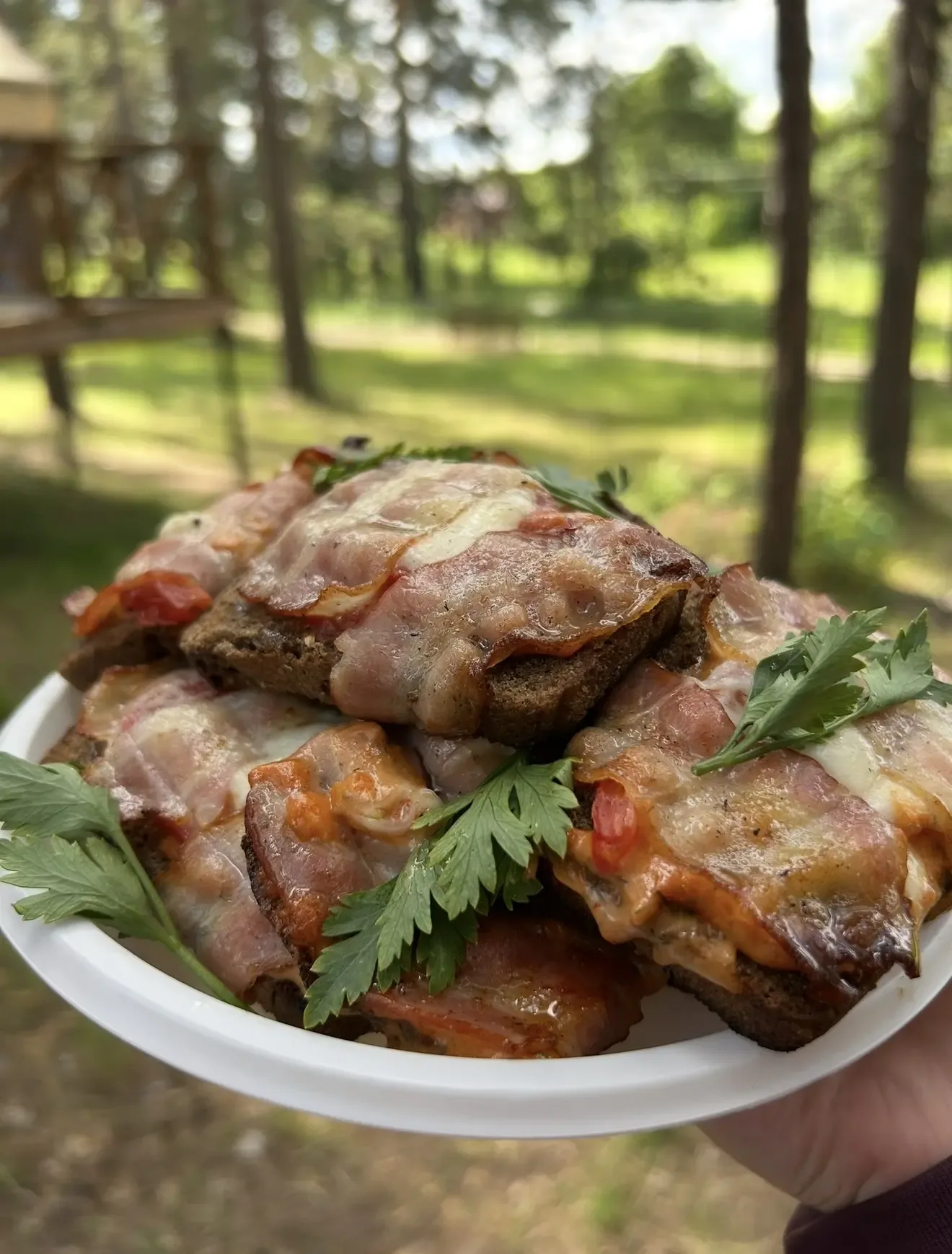 Хочу напомнить вам про вкусную дачную еду на скорую руку:  1) Горячие бутерброды с беконом Серый хле