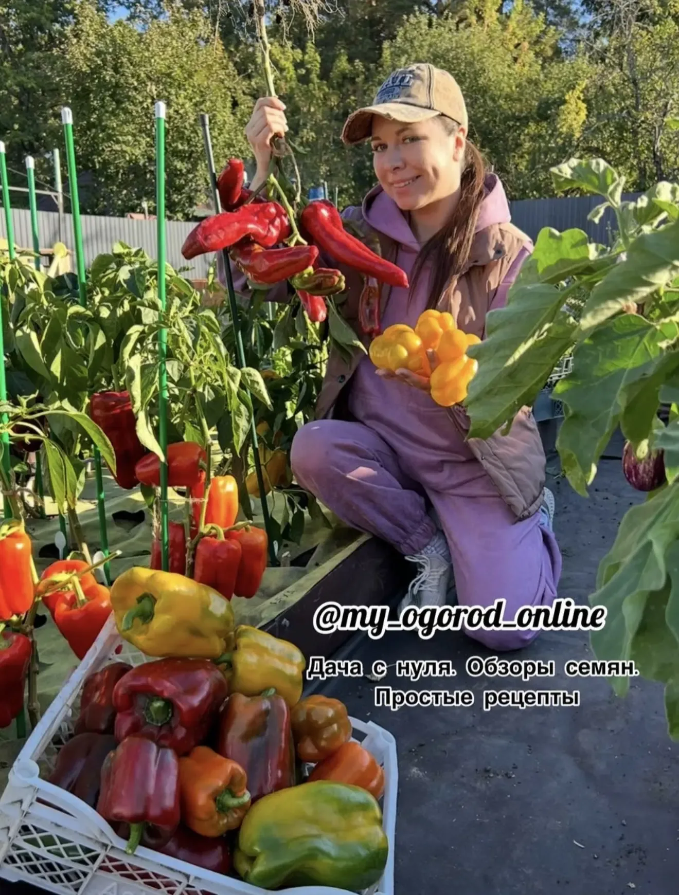 Для вдохновения вам мой перчик💛  Самый первый выращенный мной перец на 9 фото, если в руке держу)  Е