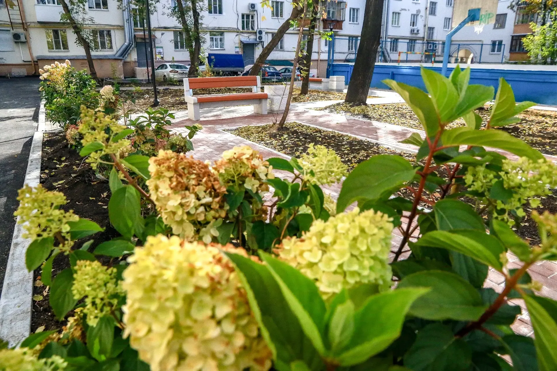Благоустройство городской среды – один из важнейших пунктов народной программы партии «Единая Россия