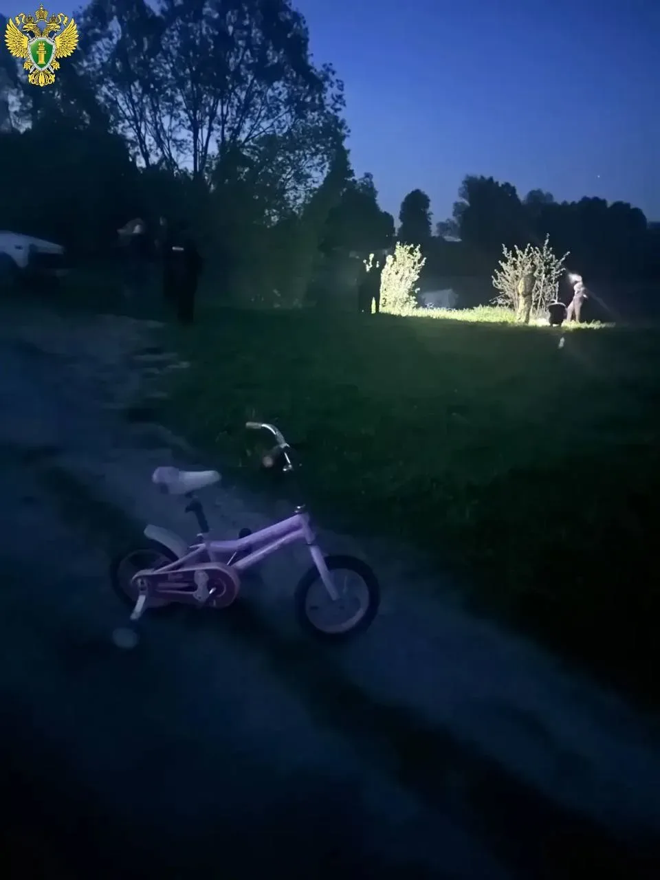 Две девочки утонули вчера в пруду около деревни Отары Оршанского района.  По предварительным данным,