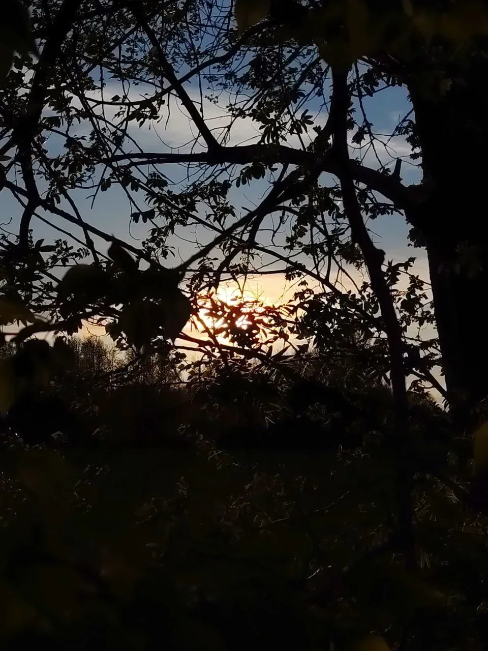 🌟Доброй ночи, друзья!   За фото спасибо подписчице ❤️  Наш бот любит ваши новости: написать нам можн