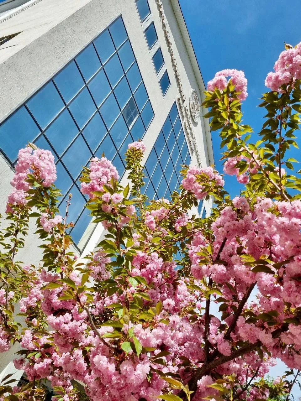 🌸 Весна — время новых идей, а труд — основа великих открытий!   С ПРАЗДНИКОМ ВЕСНЫ И ТРУДА!   Пусть 