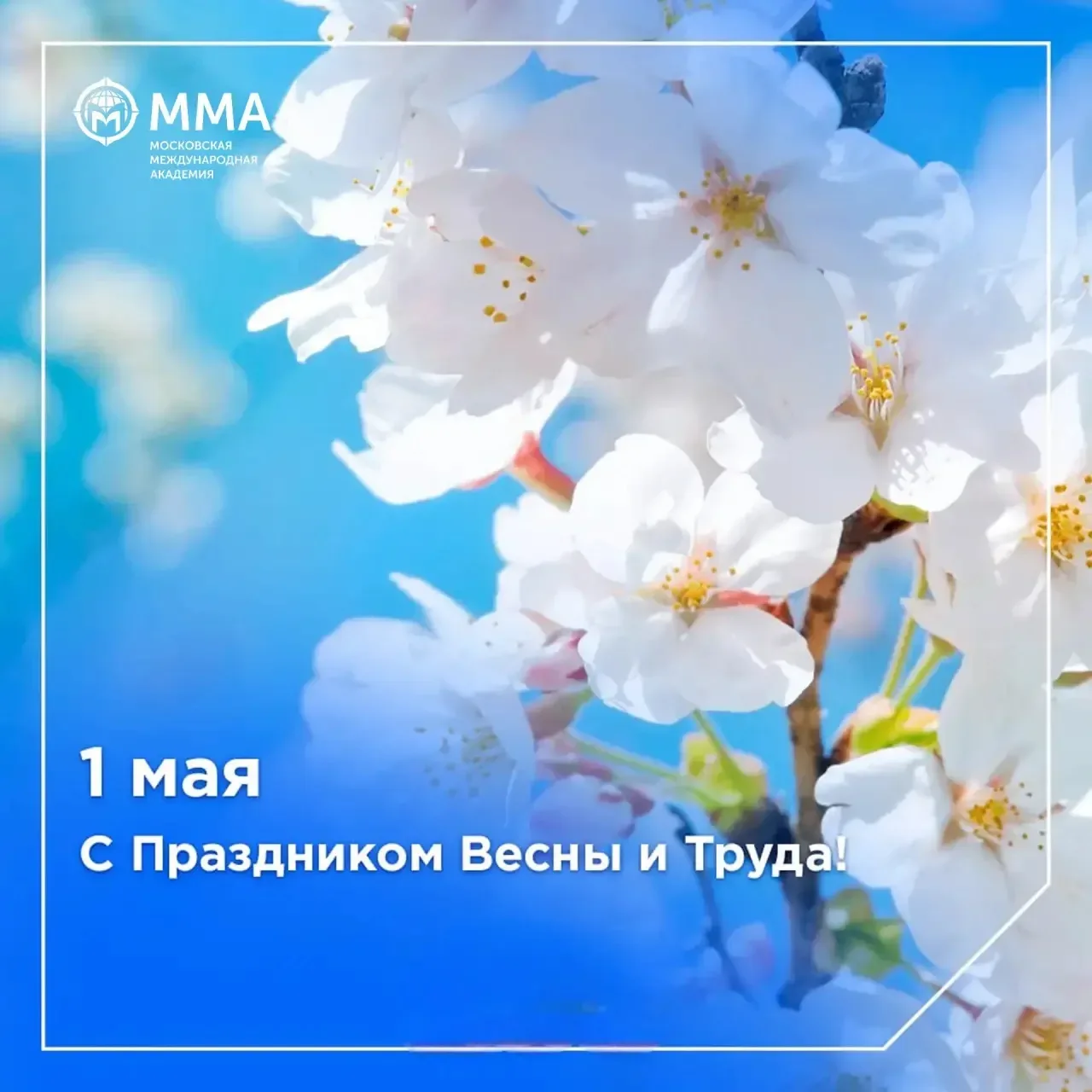 Дорогие коллеги, студенты и друзья нашей Академии!  Поздравляем вас с Первомаем — днём, который объе