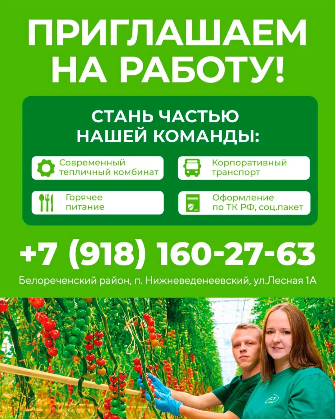 ООО "Овощи Краснодарского края". Срочно требуются: - рабочий склада з/п 54 000 руб (график 2/2) - по