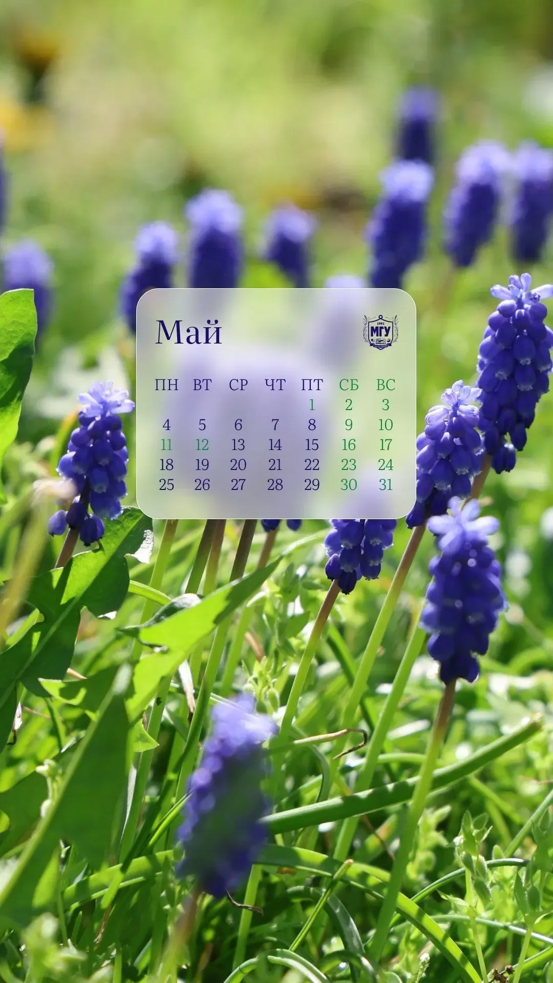 🤩 Обои на май 🤩 Май — это время ярких красок, цветущей природы и по-настоящему тёплых дней. В новой 