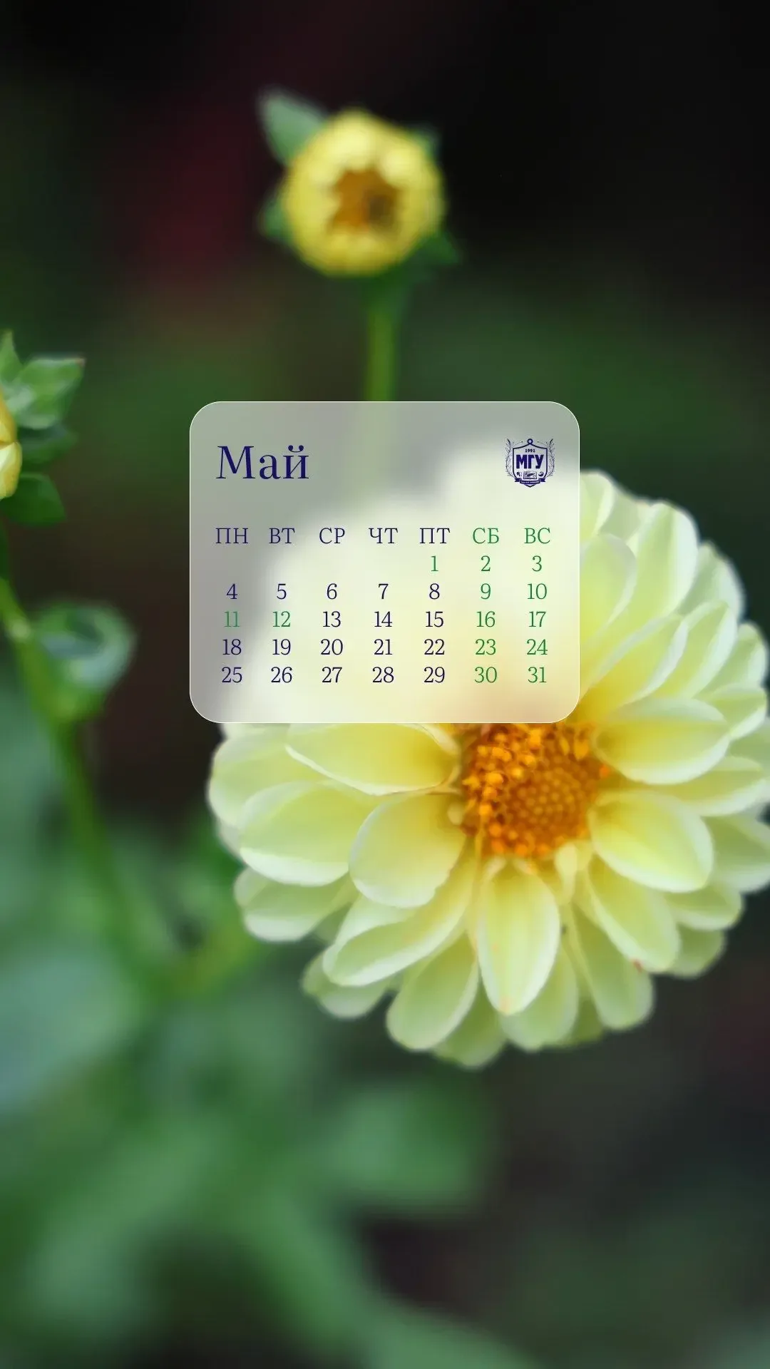 🤩 Обои на май 🤩 Май — это время ярких красок, цветущей природы и по-настоящему тёплых дней. В новой 