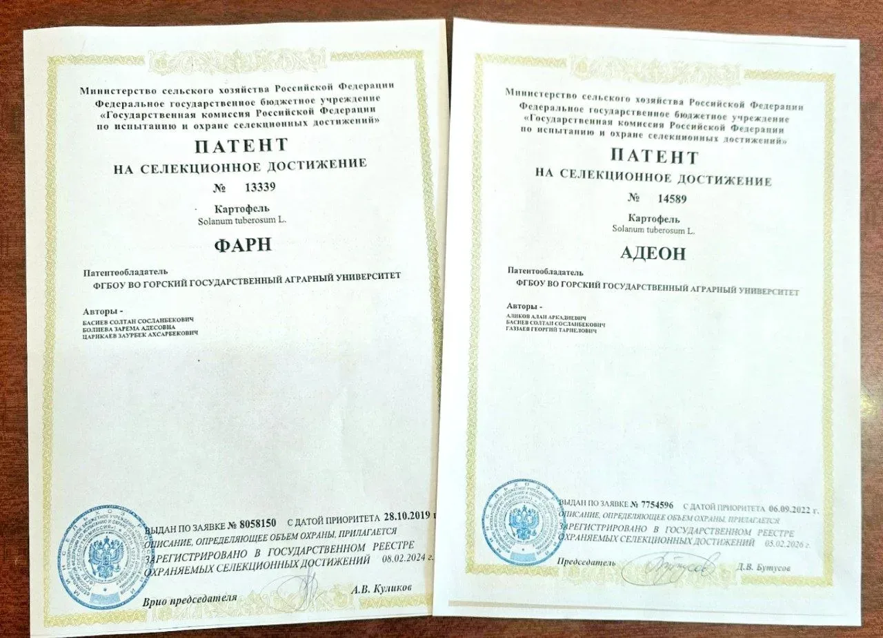 👏 Запатентованы: сорта Горского ГАУ официально получили исключительные права на использование.  Посл
