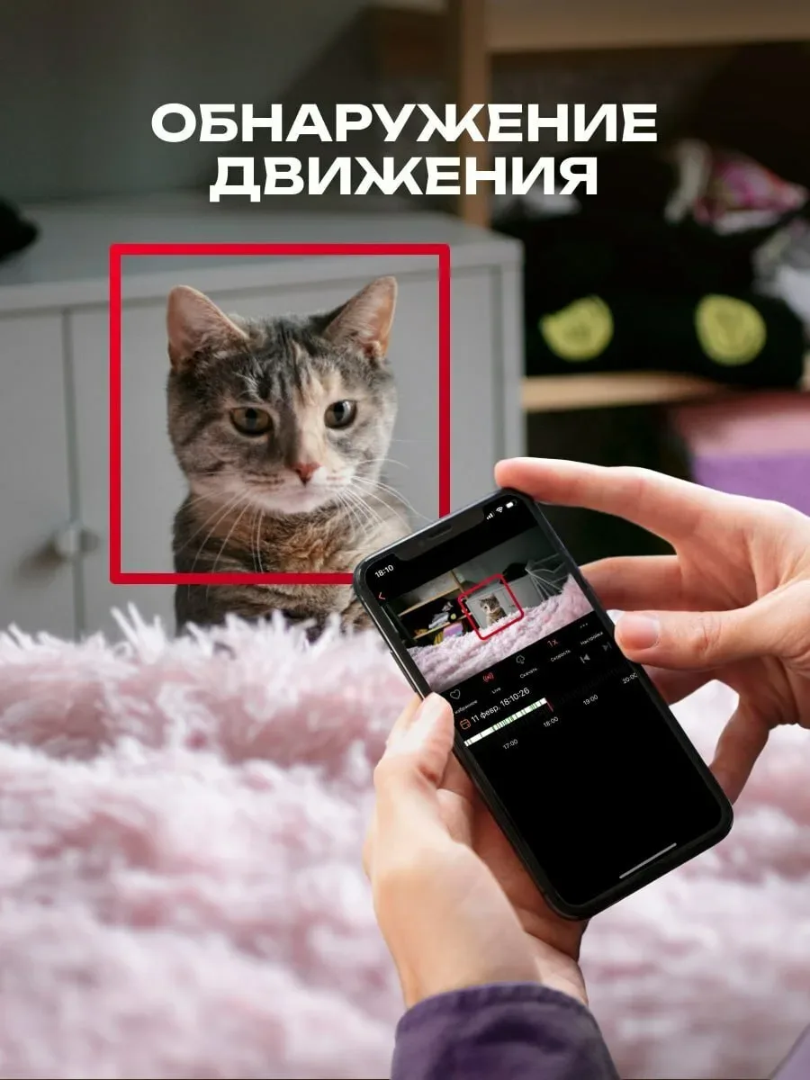 Ищете надежное и эффективное решение для безопасности вашего дома, детей или домашних животных?  Wi-
