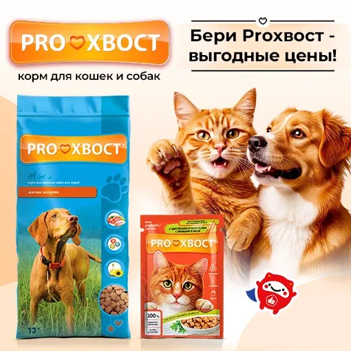 Корм Proхвост – сытная еда для кошек и собак 🐶  В кормах Proхвост есть все, чтобы накормить домашнег